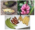 Pink Banana
